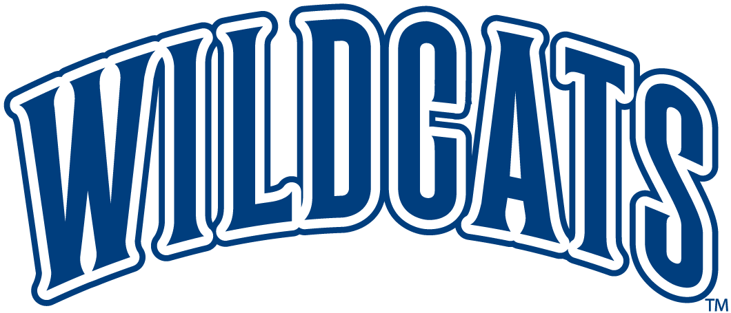 Villanova Wildcats 1996-Pres Wordmark Logo diy DTF decal sticker